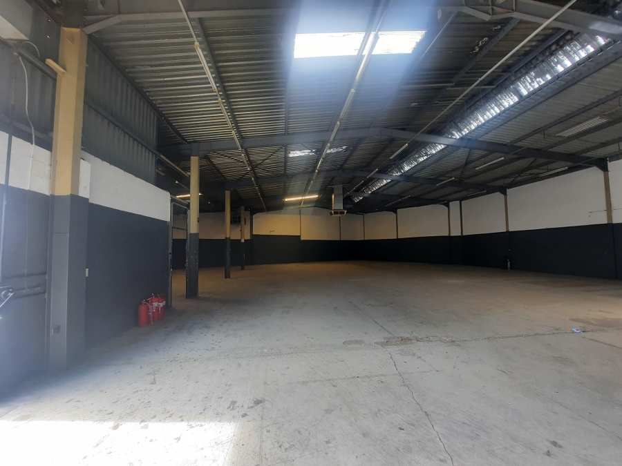 To Let commercial Property for Rent in Ottery Western Cape